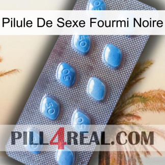 Black Ant Sex Pill viagra3